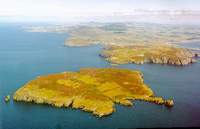 Calf of Man
